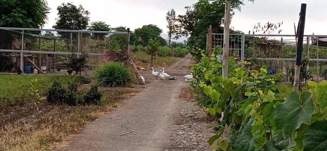 Pensjonat La Vina De Oscar Nuevo Imperial Zewnętrze zdjęcie